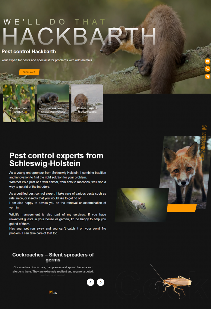 E-Commerce und Onlineshop Erstellung von Iconiq Worx für lokale Händler im Raum Leipzig