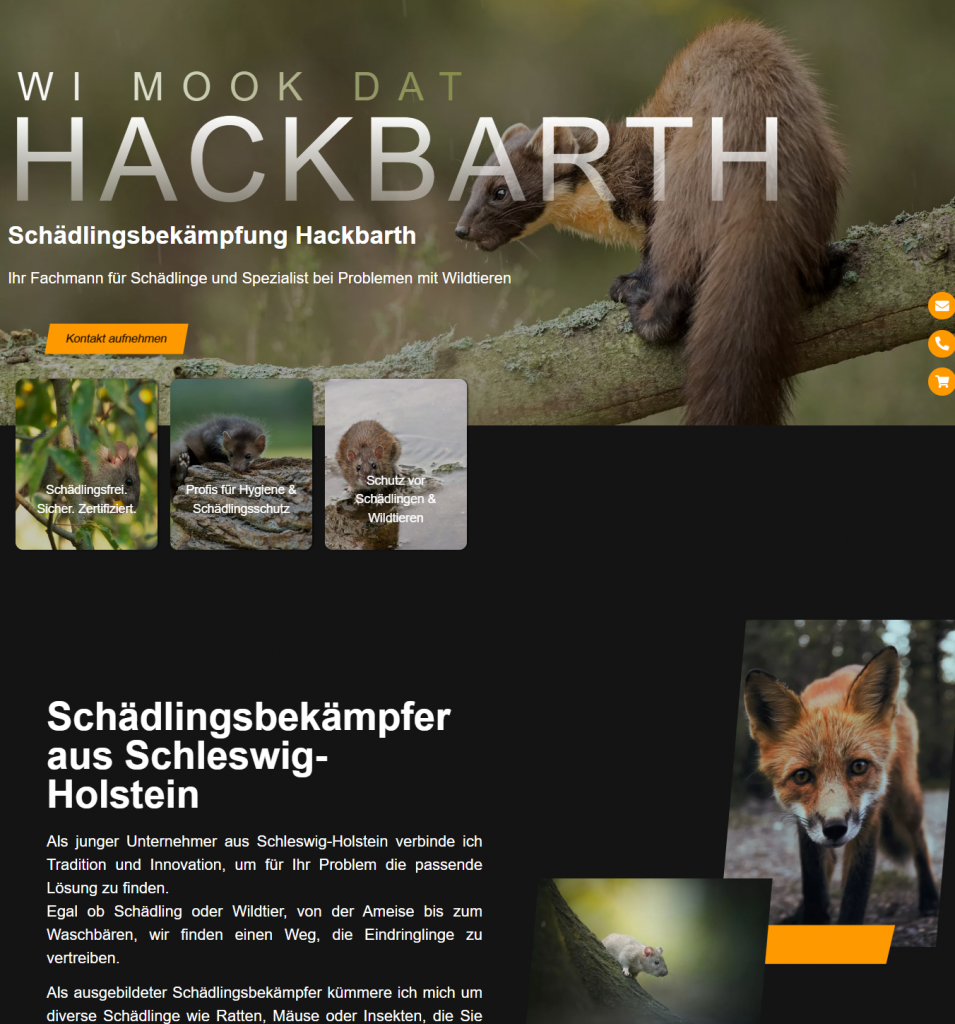 Professionelles Webdesign und SEO für Unternehmen in Leipzig, Halle und Markkleeberg – Iconiq Worx